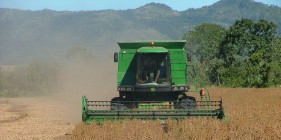 Harvesting soybeans
